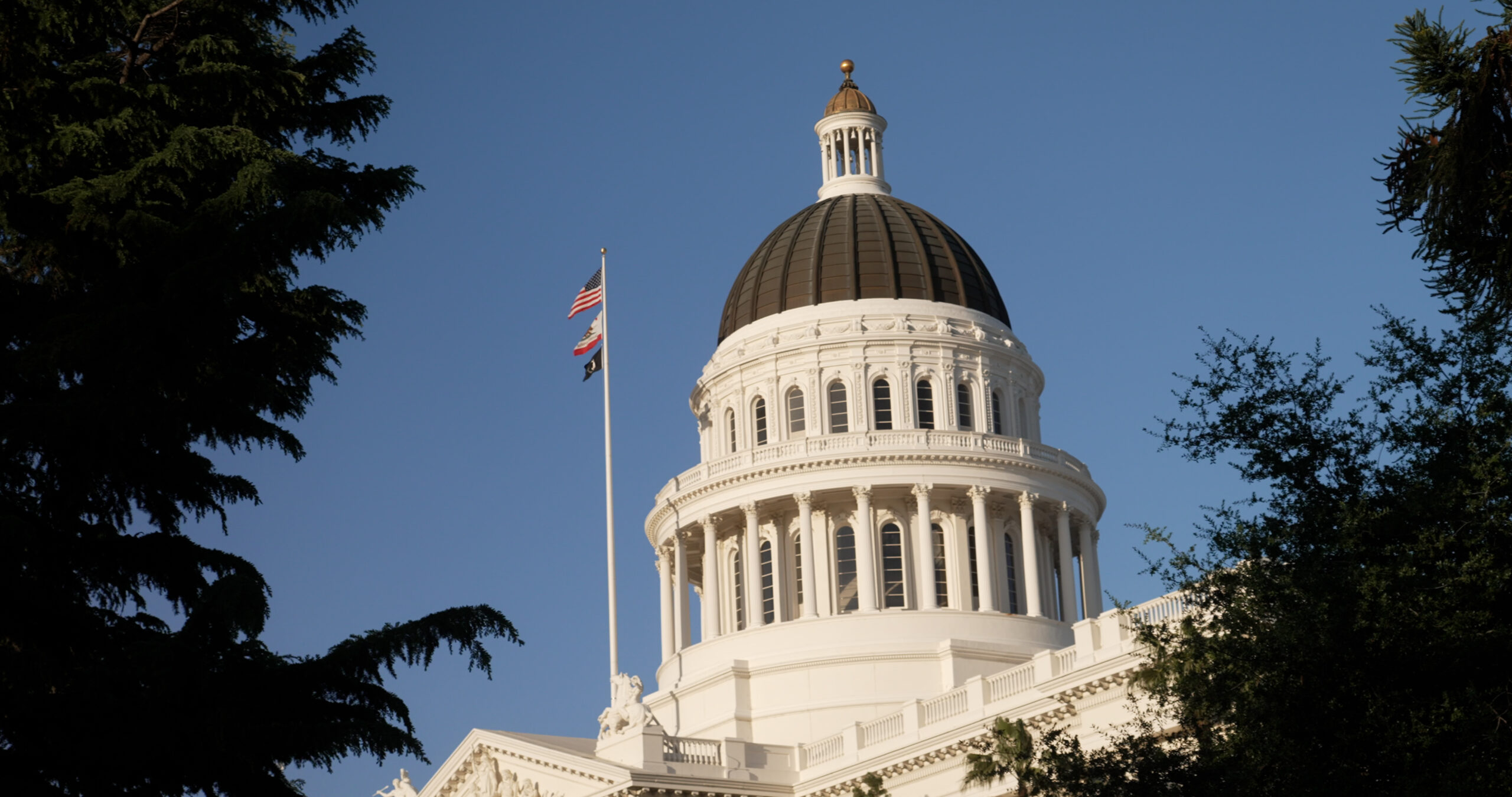 Editorial: Sacramento Considers Billions of Dollars in Tax and Fee Increases. They Should All Be Voted Down.